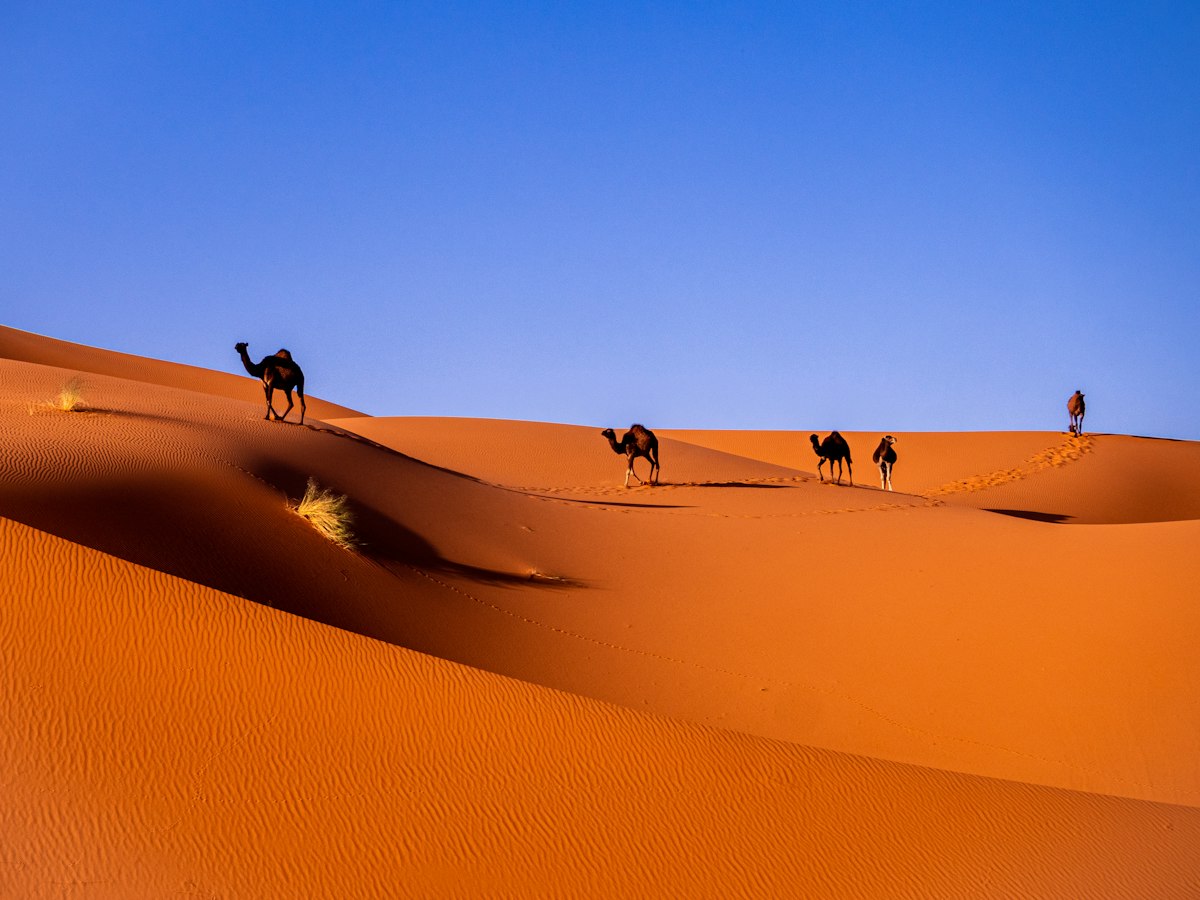 Dunes de Merzouga, désert marocain
